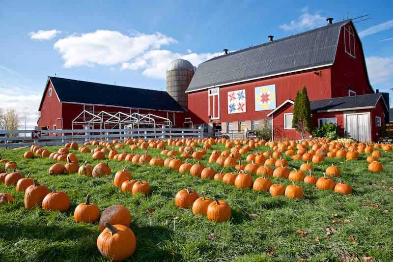 Picton, Ontario - Eltonlaw - Shutterstock