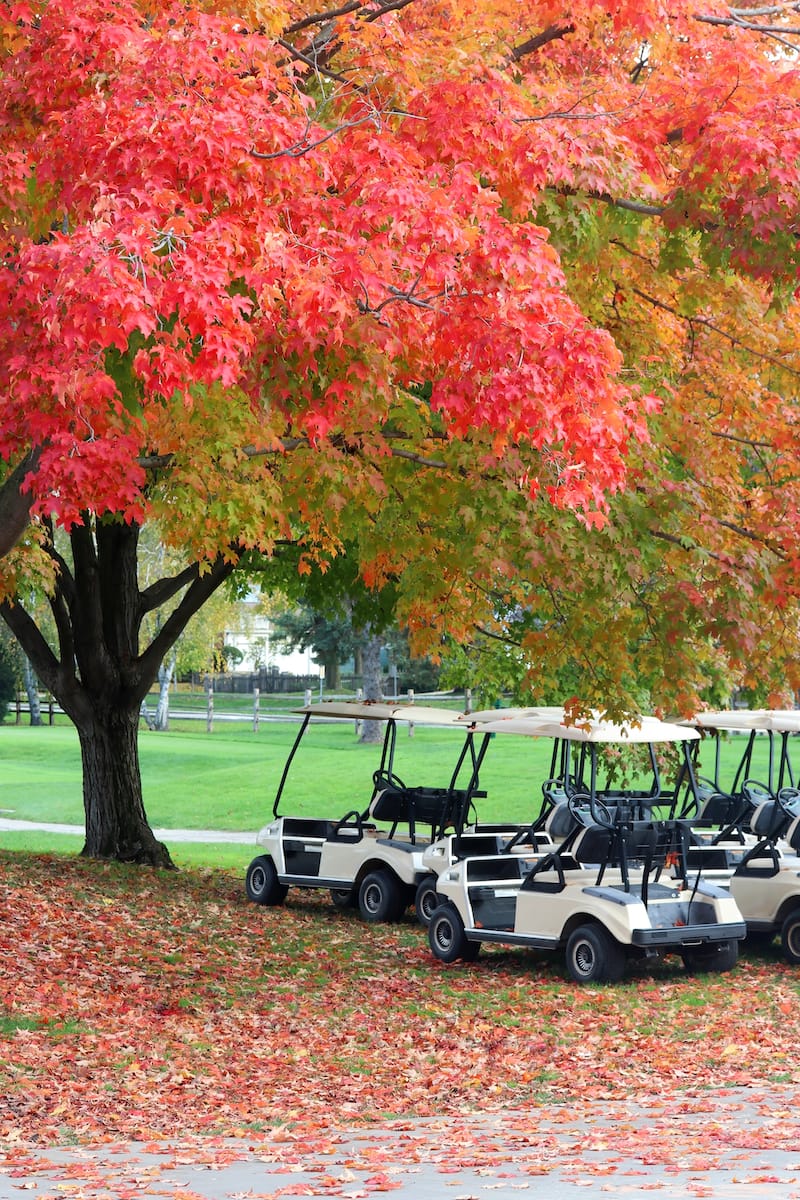 Golfing in Wisconsin is great in early fall!