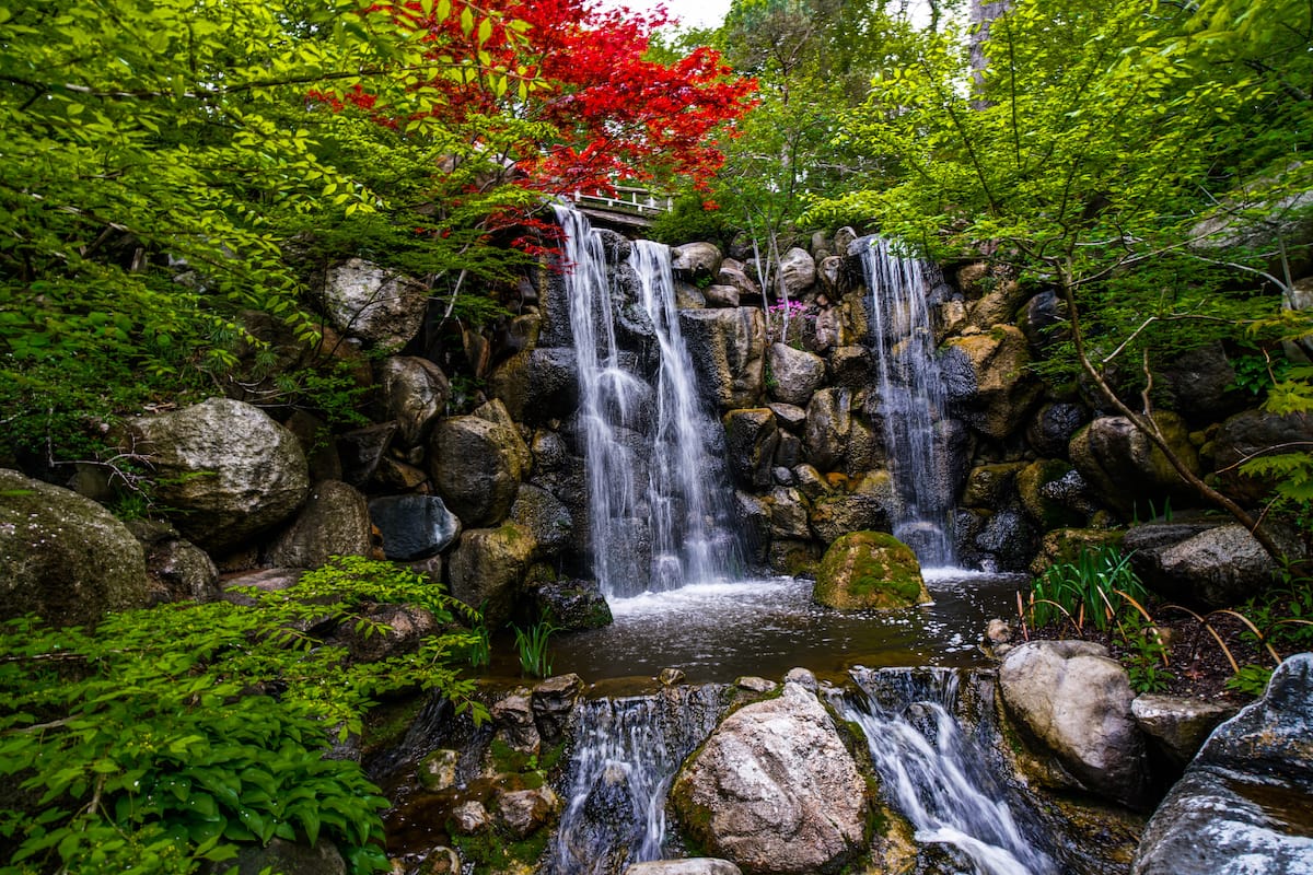 Anderson Japanese Gardens