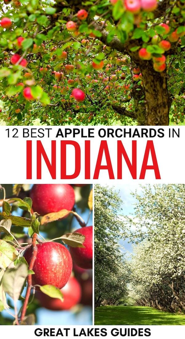 Are you looking for the best apple orchards in Indiana? This guide showcases the ultimate places to go apple picking in Indiana (including orchard details)! | Apples in Indiana | Indiana apple picking | Indiana apple orchards | Where to pick apples in IN | Indiana bucket list | Indiana in fall | Fall in Indiana | What to do in Indiana during fall | Indiana in autumn | Indiana fruit farms