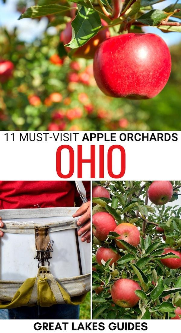 Are you looking for the best apple orchards in Ohio? We have you covered! This guide details where to go apple picking in Ohio, plus some seasonal tips! | Apple picking in OH | Ohio apple orchards | Ohio apple farms | Apples in Ohio | Apple picking near Columbus | Apple picking near Cincinnati | Apple picking near Cleveland | Cleveland apple orchards | Cincinnati apple orchards | Columbus apple orchards