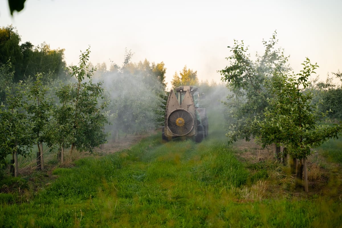 12 Best Places for Apple Picking in Illinois (+ Orchard Info!)