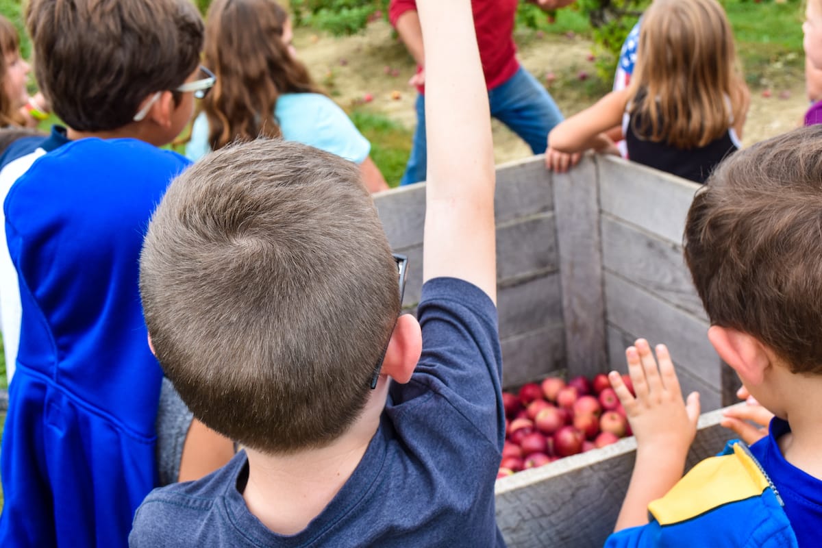 Apple picking in Ohio guide