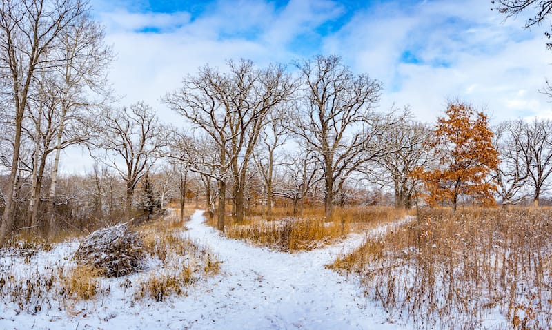 Quarry Hill Nature Center