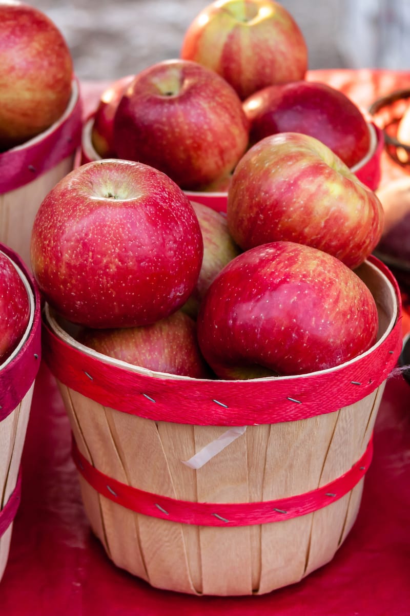 Where to pick apples near Toronto